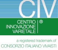 CIV - logo